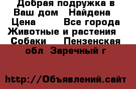 Добрая подружка,в Ваш дом!!!Найдена › Цена ­ 10 - Все города Животные и растения » Собаки   . Пензенская обл.,Заречный г.
